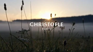 Close-up of dew-kissed grass and wildflowers at dawn, bathed in the soft light of the rising sun over a misty field.