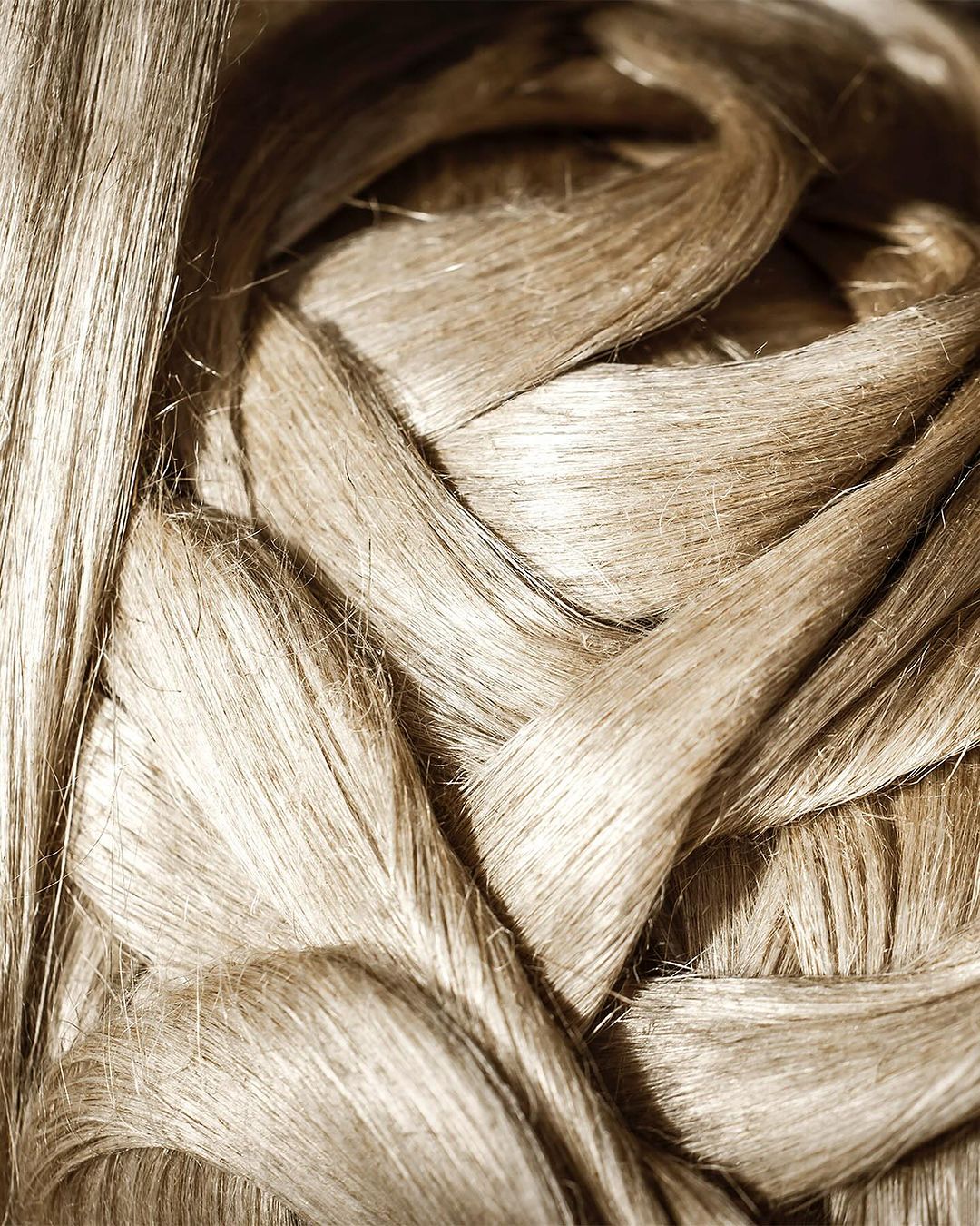Close-up of a tightly bundled mass of beige-blonde hair, showcasing its texture, colour, and patterns of light and shadow.