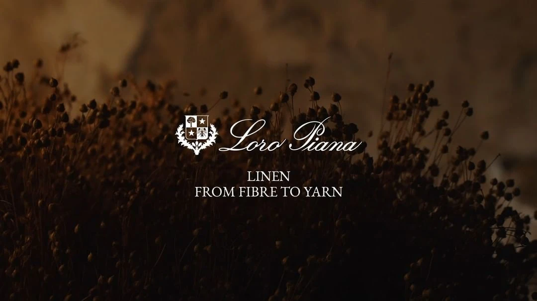 Close-up of textile plant with logo and brand name, Loro Piana, and linen fibers. Studio product shot for luxury fashion advertising.