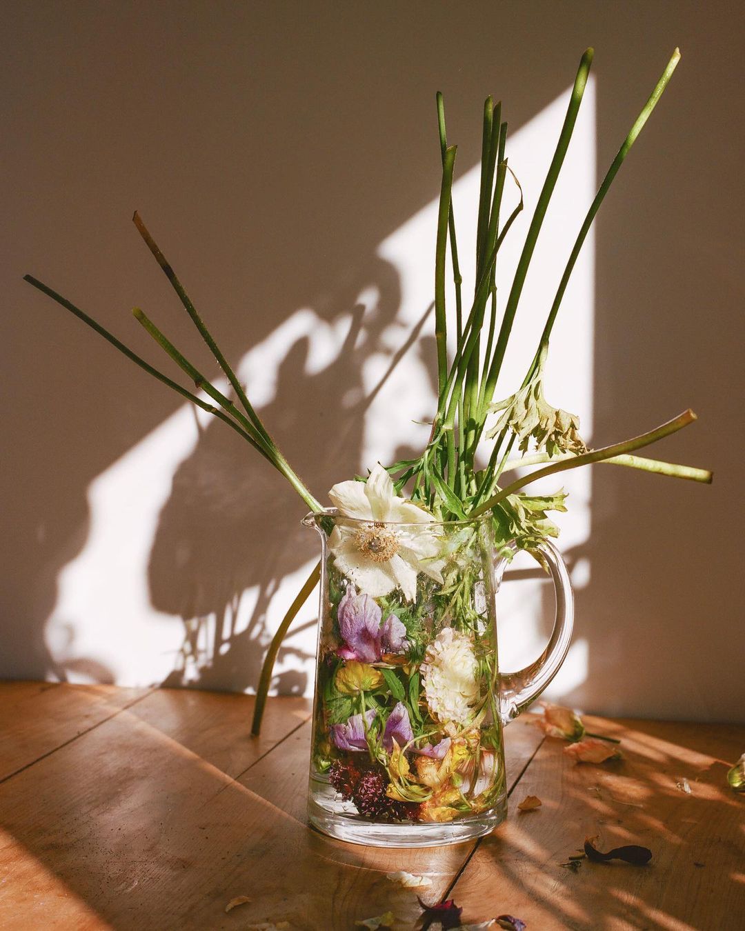 Sunlit still life of a clear glass pitcher filled with vibrant flowers and water on a wood floor, casting soft shadows on the wall.