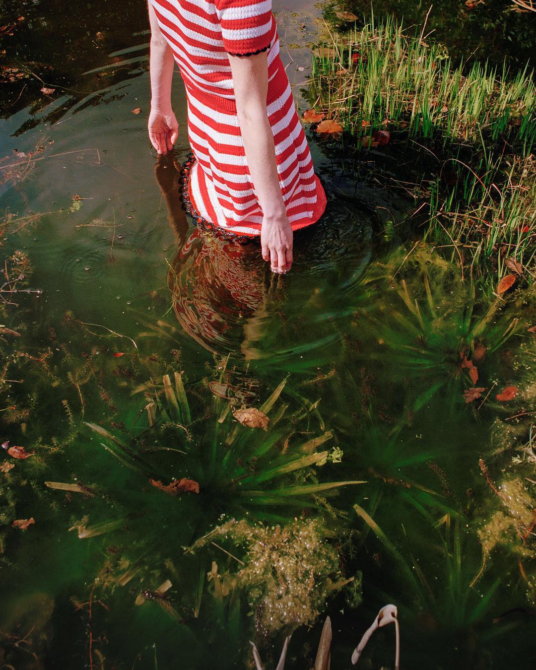 A person stands waist-deep in murky water, wearing a red and white striped dress. Reflections ripple on the surface amidst aquatic plants.