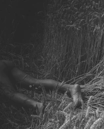 Monochrome close-up of a person lying face down among tall stalks of wheat in a field.