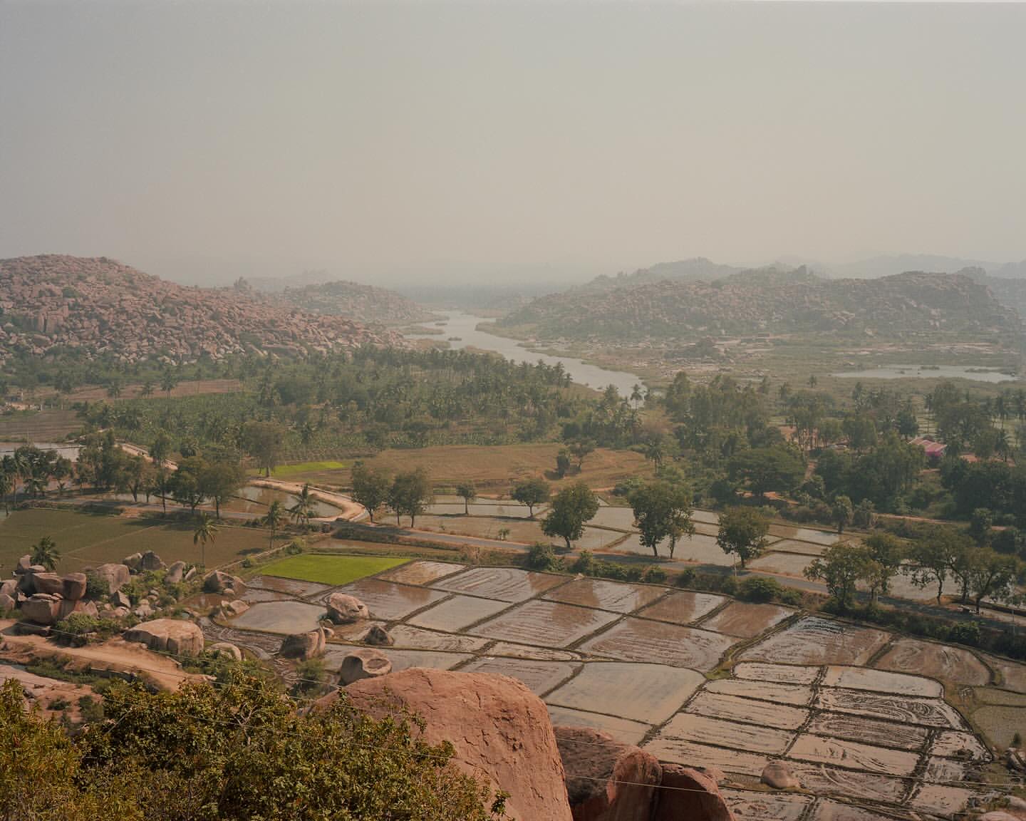 Scenic view of tiered rice paddy fields and lush trees near the river in Hampi, India, with rocky hills in the background.