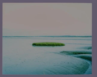 A flat patch of green grass sits in the center of a wide tidal flat under a pale, muted sky, captured by Polly Tootal.