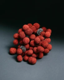 Cluster of fuzzy reddish round objects resting on a dark gray surface with two embedded textured metallic elements