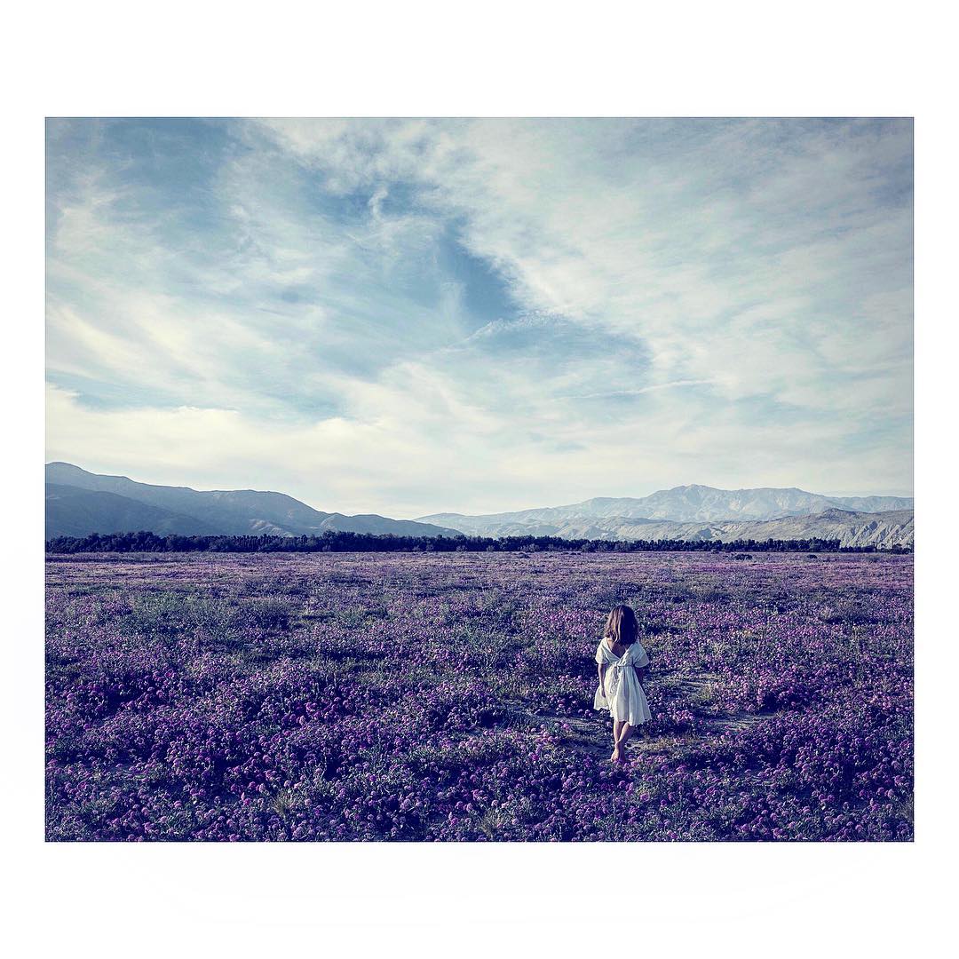 Young girl in white dress stands in a field of purple wildflowers, backed by distant mountains and a cloudy sky. Nature scene.
