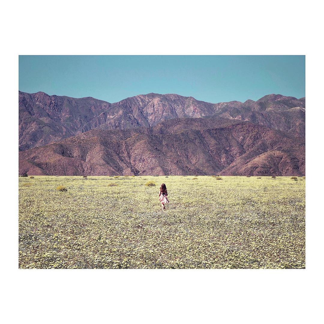Young girl in dress walking in field of wildflowers toward mountains under blue sky. Nature photography evokes carefree childhood.