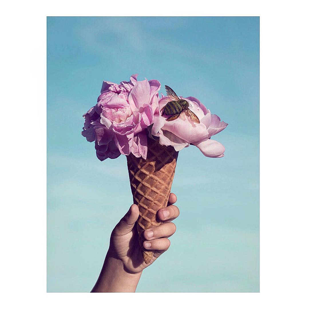 Hand holds waffle cone filled with pink flowers and a bee against a clear blue sky, creating a whimsical floral ice cream concept.