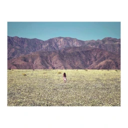 A lone person standing in a vast, yellow-flowered field beneath towering, rugged mountain ranges under a clear blue sky.