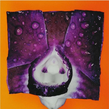 Macro photograph of a vibrant purple orchid flower with water droplets, set against a vivid orange background, showcasing intricate details.