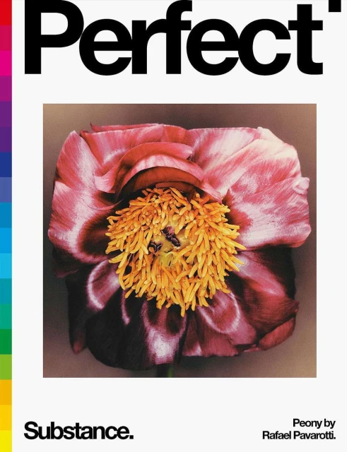 Close-up studio shot showcases a vibrant pink and yellow peony flower against a white backdrop, accentuated by bold typography and a colorful bar.