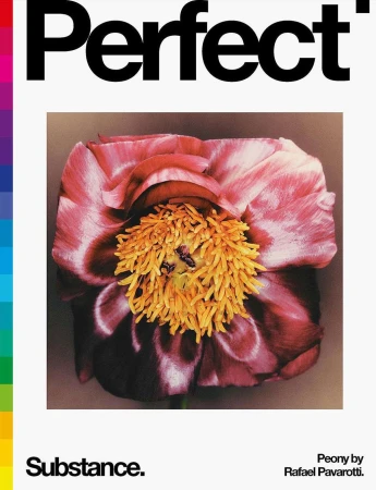 Close-up studio shot showcases a vibrant pink and yellow peony flower against a white backdrop, accentuated by bold typography and a colorful bar.
