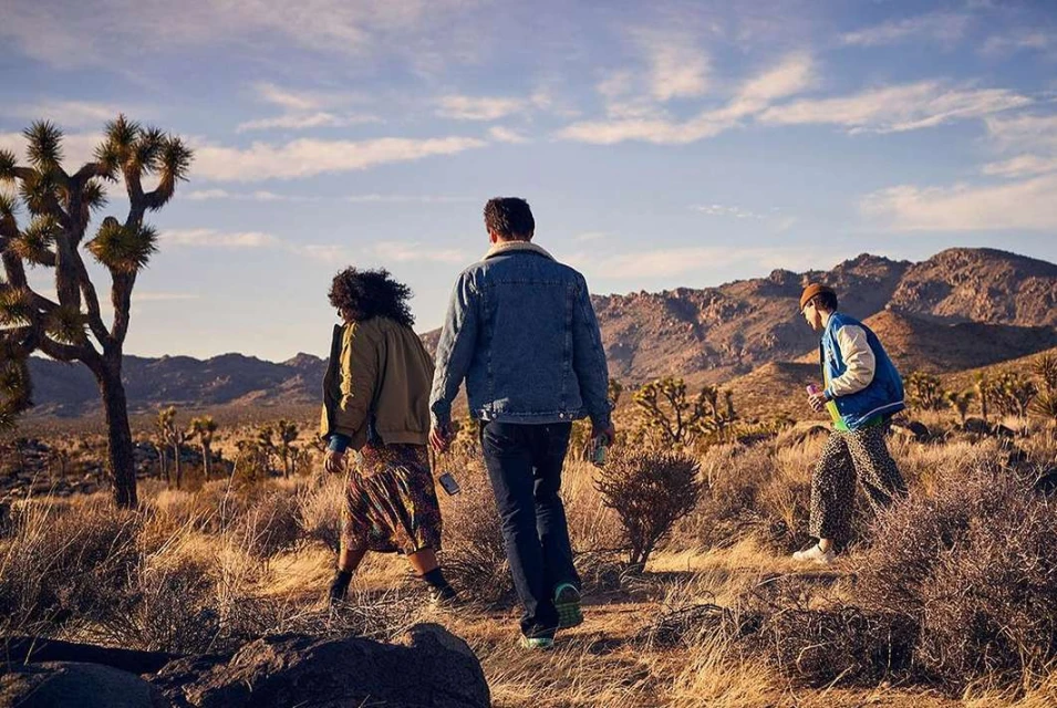 Three people walking away on a desert trail with Joshua trees. Mountains are in the background under a blue sky with clouds.