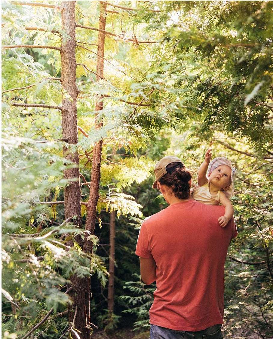 A toddler reaches upwards while being carried on a man's shoulders in a sunlit forest with tall trees and green foliage in natural light.