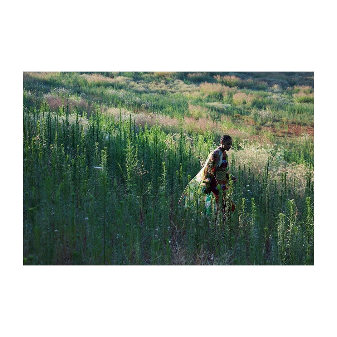Woman in patterned clothing walks through tall green grass on a bright day, blending with the natural environment.