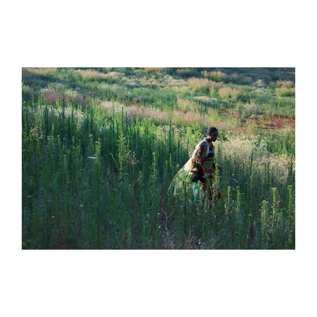 Woman in patterned clothing walks through tall green grass on a bright day, blending with the natural environment.