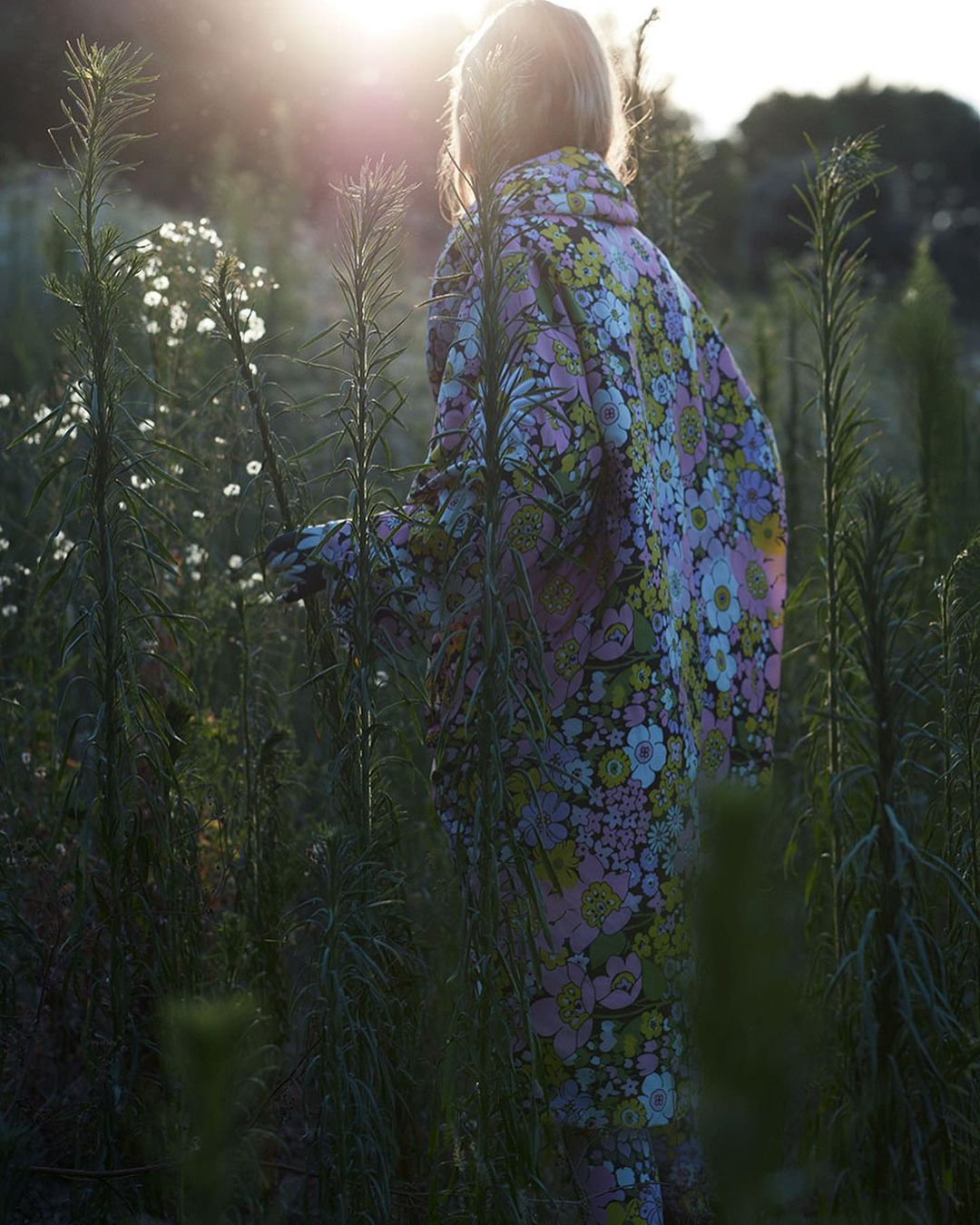 A young person in a colorful floral outfit stands in a field of tall green plants with white flowers, bathed in sunlight at sunset.
