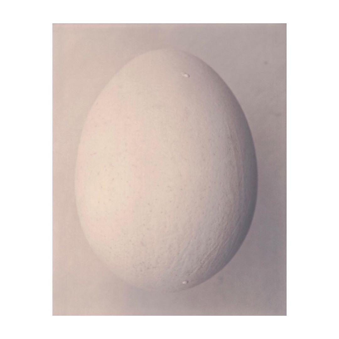Close-up studio shot of a white chicken egg. The ovular egg is displayed on a neutral background in soft lighting, creating a minimal composition.