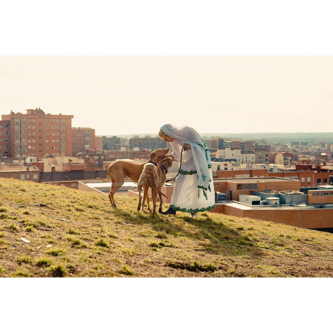 Elderly woman in headscarf walks two dogs on grassy hill, overlooking European city on a bright, sunny day. Building in background.