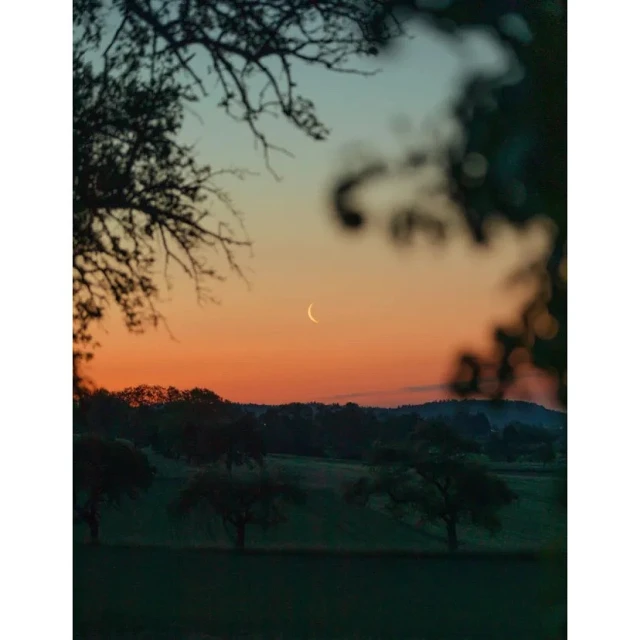 Crescent moon is seen over green fields with trees at dusk, framed by silhouetted branches, creating a serene landscape.