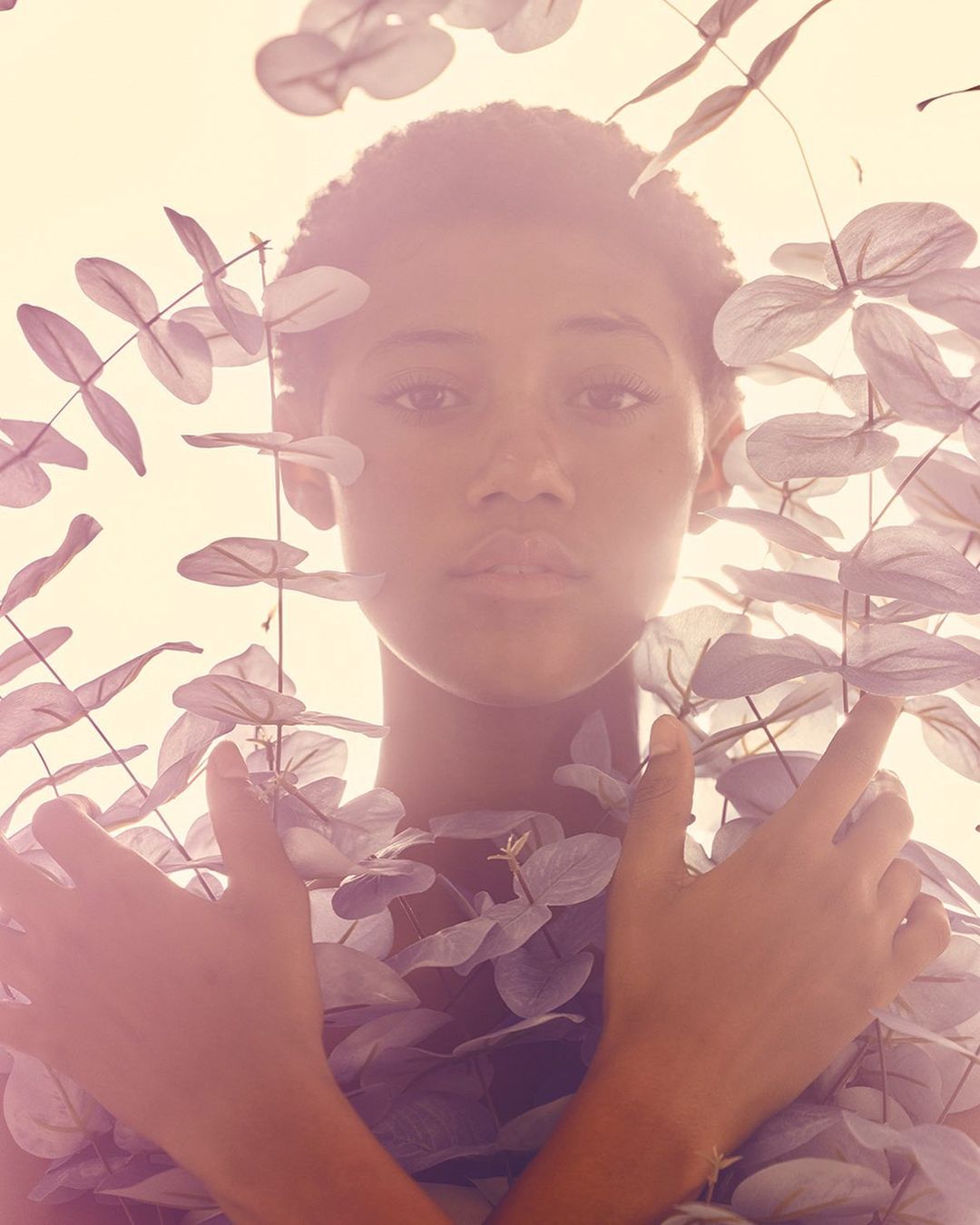 Portrait of a young Black woman surrounded by pale eucalyptus branches in a soft, dreamy studio setting with diffused lighting.