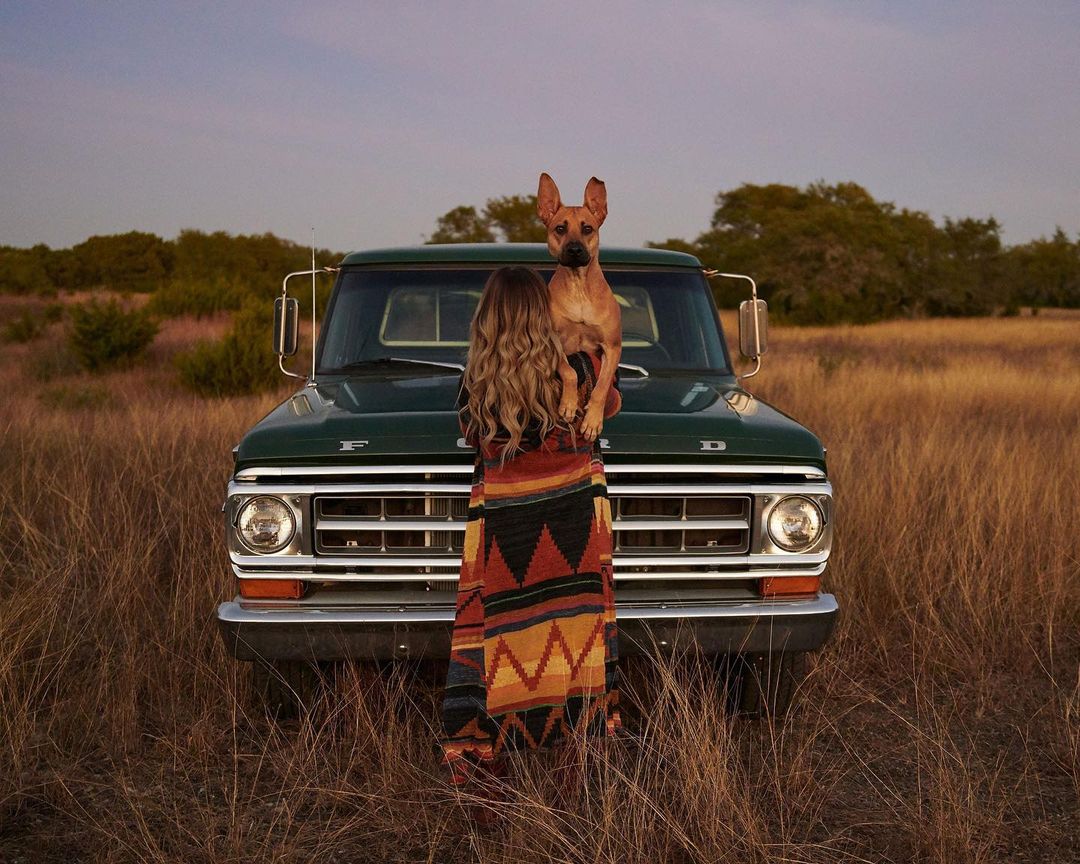 Woman and dog in field next to vintage truck. Young female with long blonde hair in a colourful knitted jacket, brown dog on hood.