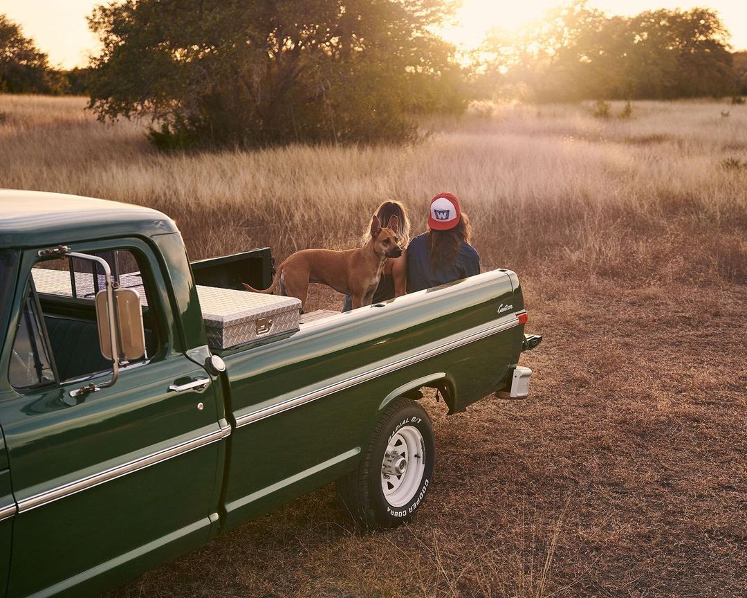 Vintage green pickup truck with two women and a tan dog in the truck bed, in a field at sunset with golden light.