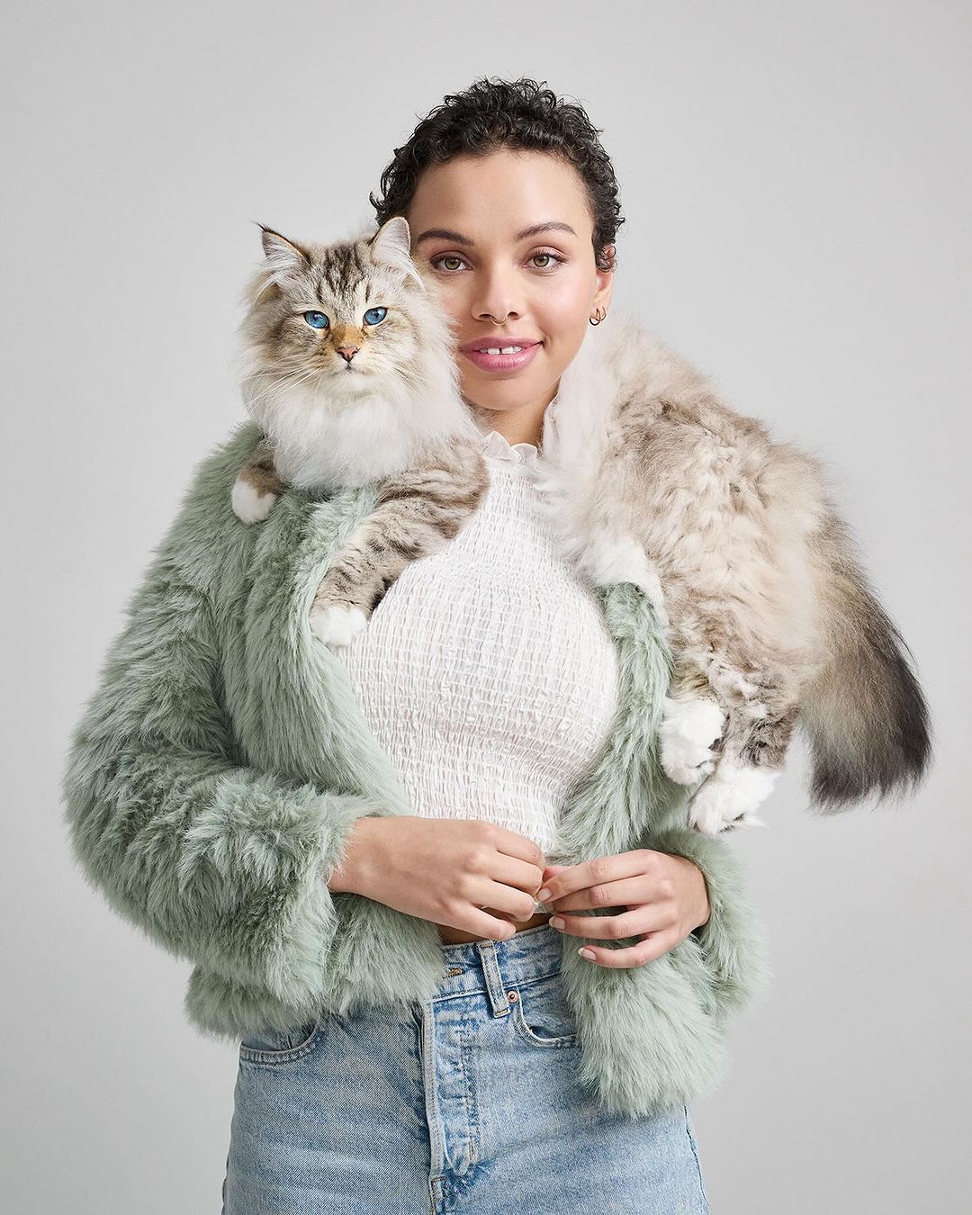 Woman in a fuzzy mint-green jacket holds a fluffy ragdoll cat with blue eyes in a studio setting with a plain gray background.