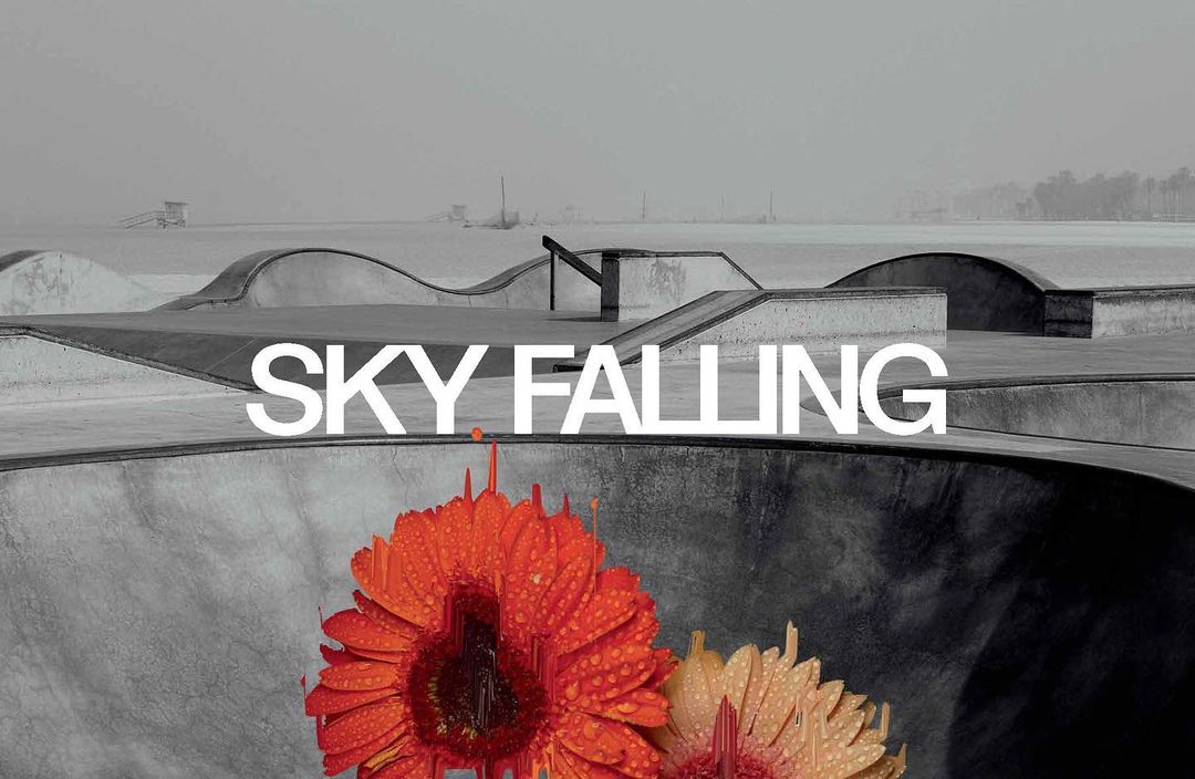 Black and white skatepark scene with a burst of color from a cluster of orange and peach gerbera daisies in the foreground.