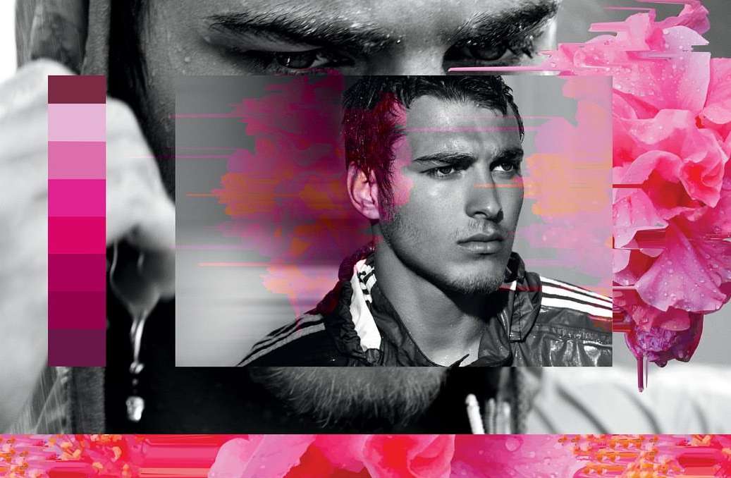 Monochrome portrait of a young adult male with pink floral accents and glitch effects, fashionably styled in an indoor setting.