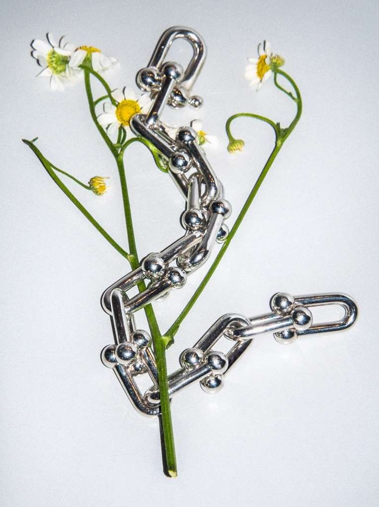 Elegant silver chain necklace intertwined with delicate white daisy flowers, creating a sophisticated and nature-inspired jewelry display.
