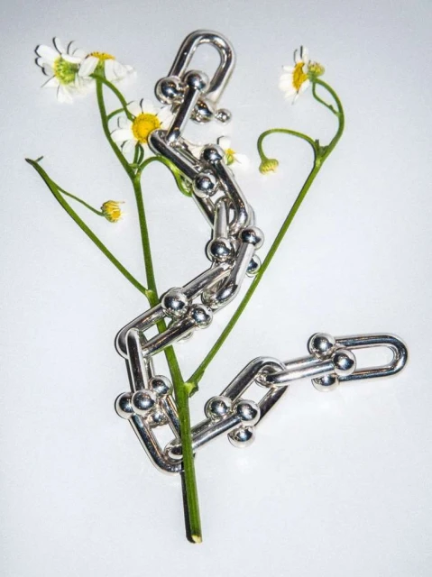 Elegant silver chain necklace intertwined with delicate white daisy flowers, creating a sophisticated and nature-inspired jewelry display.