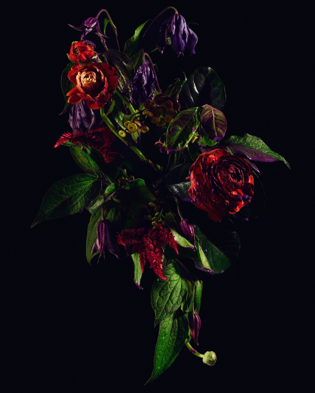 Dramatic floral arrangement features roses, clematis, and foliage in shades of red, purple, and green against a dark, moody background.