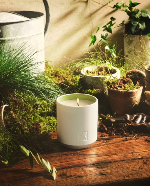 Lit candle sits on a wooden surface surrounded by moss, potted plants, garden tools, and a watering can in warm, natural light.