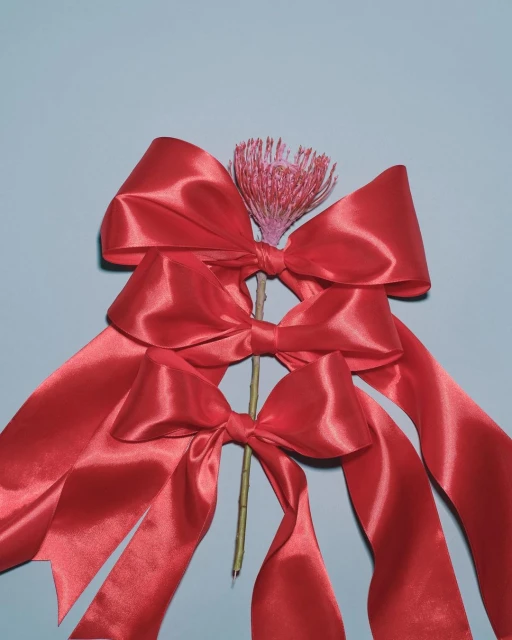 Elegant still life composition featuring three cascading red satin bows and a single pink flower against a muted blue backdrop.