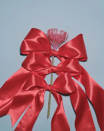 Elegant still life composition featuring three cascading red satin bows and a single pink flower against a muted blue backdrop.