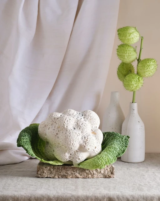 Still life of decorative white cauliflower on a stone block, with white vases and green plant with bulbs against a neutral backdrop.