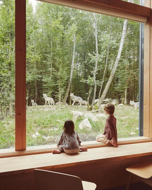 Two children gaze through a large window at a pack of wolves in a wooded habitat, bringing nature and wildlife indoors for a peaceful scene.