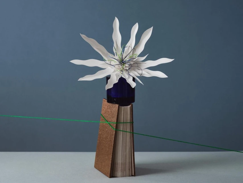 Still life photograph of a white flower in a blue vase on a book tied with green thread against a blue background, studio lighting.