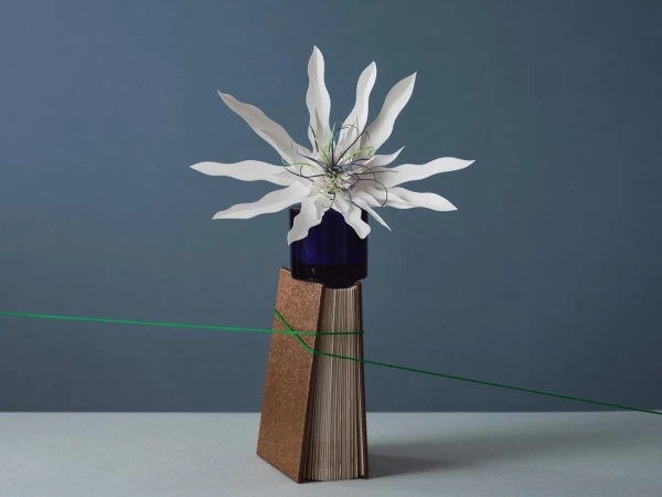 Still life photograph of a white flower in a blue vase on a book tied with green thread against a blue background, studio lighting.