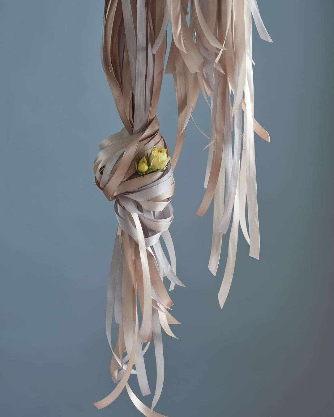 Abstract still life with ribbons, a floral accent, soft lighting, and a serene atmosphere. Perfect for backgrounds or creative projects.