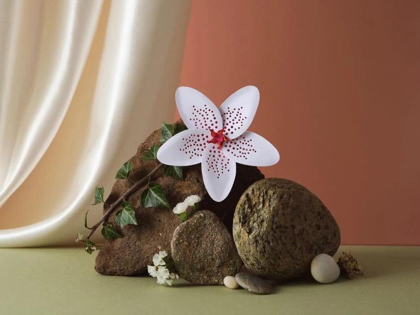 Still life featuring a white flower with red spots, set against rocks and draped fabric, in a serene, studio-lit composition.