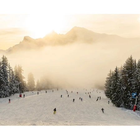 Skiers descend a snow-covered slope on a misty day, with pine trees lining the sides and mountains visible in the background.