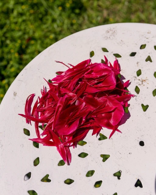 Overhead shot of vibrant pink peony petals scattered on a white, patterned metal table outside, with a blurred green lawn in the background.