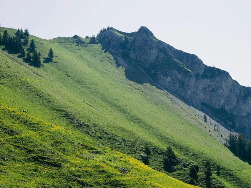 A scenic view of a lush green mountain slope on a sunny day, showcasing natural beauty and serene landscape with patches of rocky terrain.