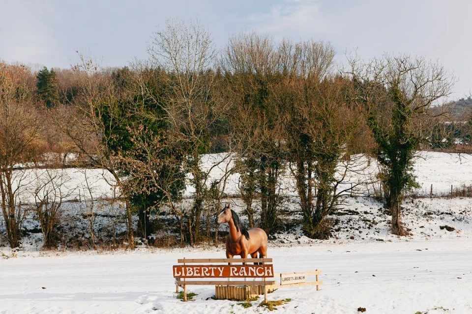 A brown horse stands behind a wooden sign for Liberty Ranch in a snowy field with a forest in the background on a sunny day.
