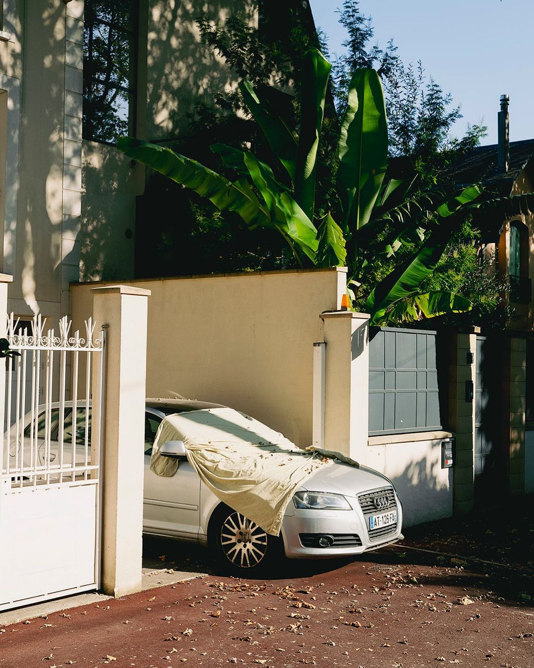 Silver Audi parked in driveway with beige sheet draped over hood, surrounded by lush greenery and a white gate on a sunny day.