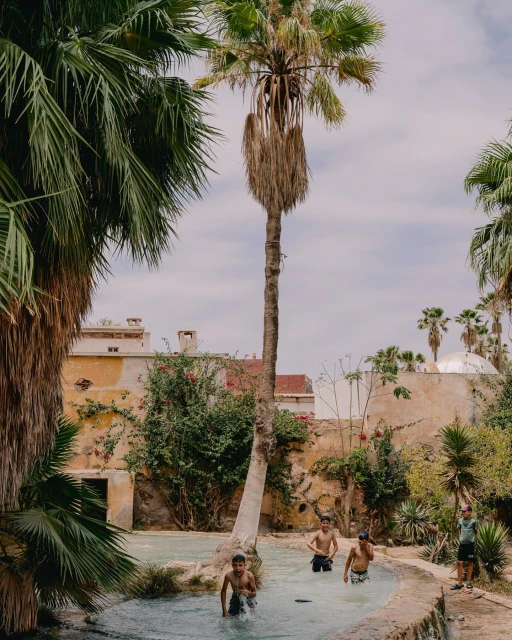 Four shirtless boys stand in shallow water surrounded by palm trees and greenery near a tan, aged building on a sunny day.