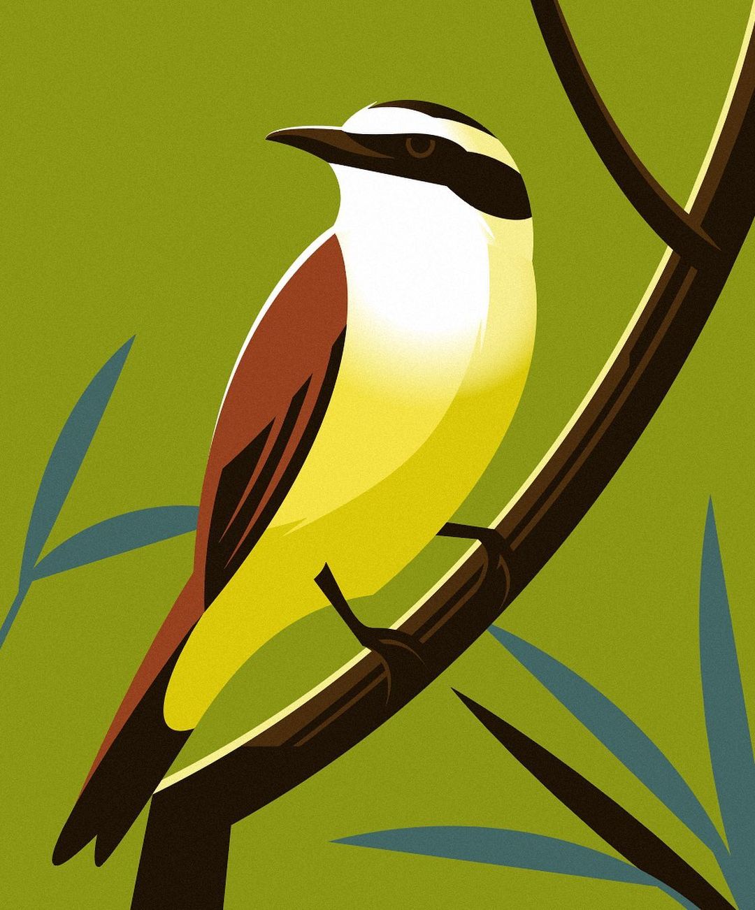 Illustration of a Bem-te-vi bird perched on a branch against a green background with teal leaves, showcasing artful graphic design.