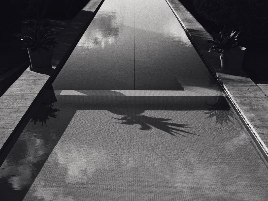 Monochrome long shot of a tranquil pool with geometric patterns and plant reflections, emphasizing clean lines and serene atmosphere.